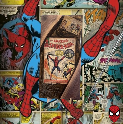 The Spidey Boards 🕷️